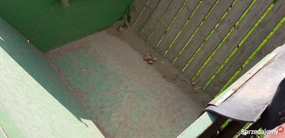 Kombajn Ziemniaczany Hassia 100 Sprawny małopolskie Wolbrom