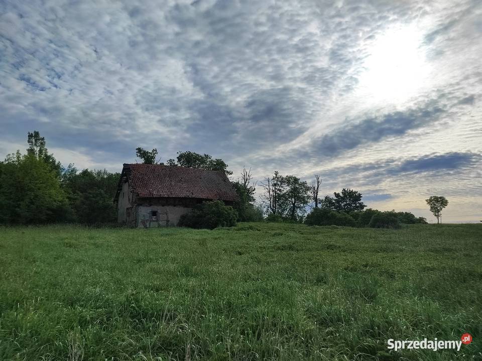 Siedlisko niedaleko BISZTYNKA 5500 m2 TANIO polna warmińsko-mazurskie Grzęda