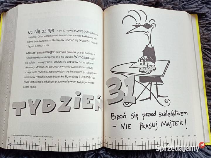 Ciężarówką 9 miesięcy przewodnik ciąży i twarda Płock