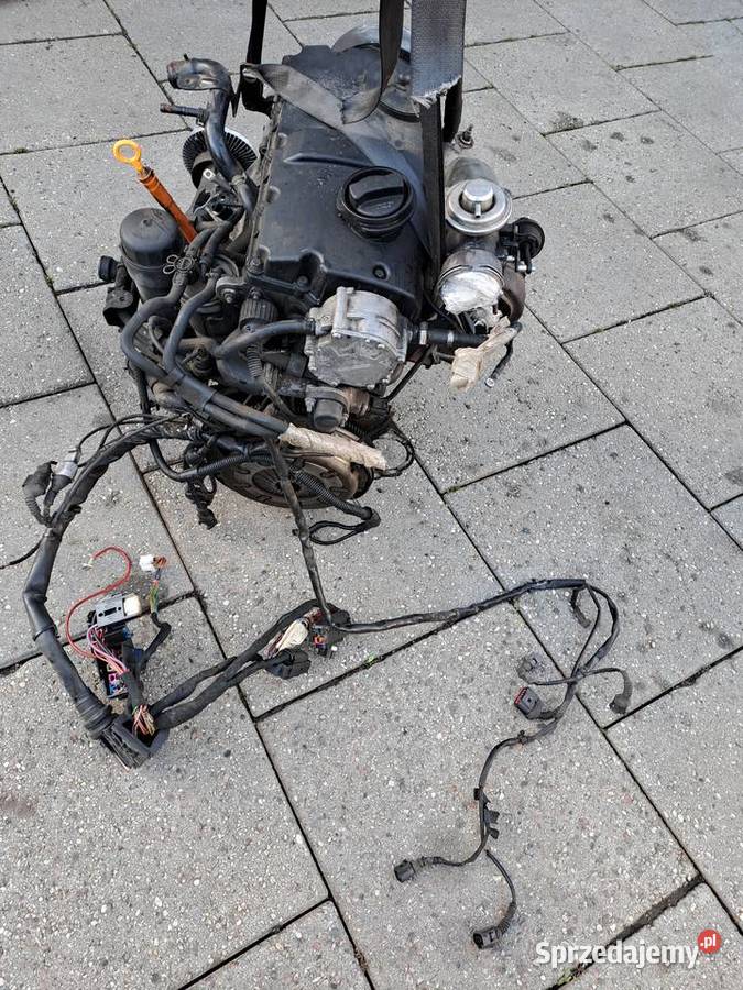 Audi A4 B6 19 TDi 130 silnik kompletny kod AWX Jastrzębie-Zdrój