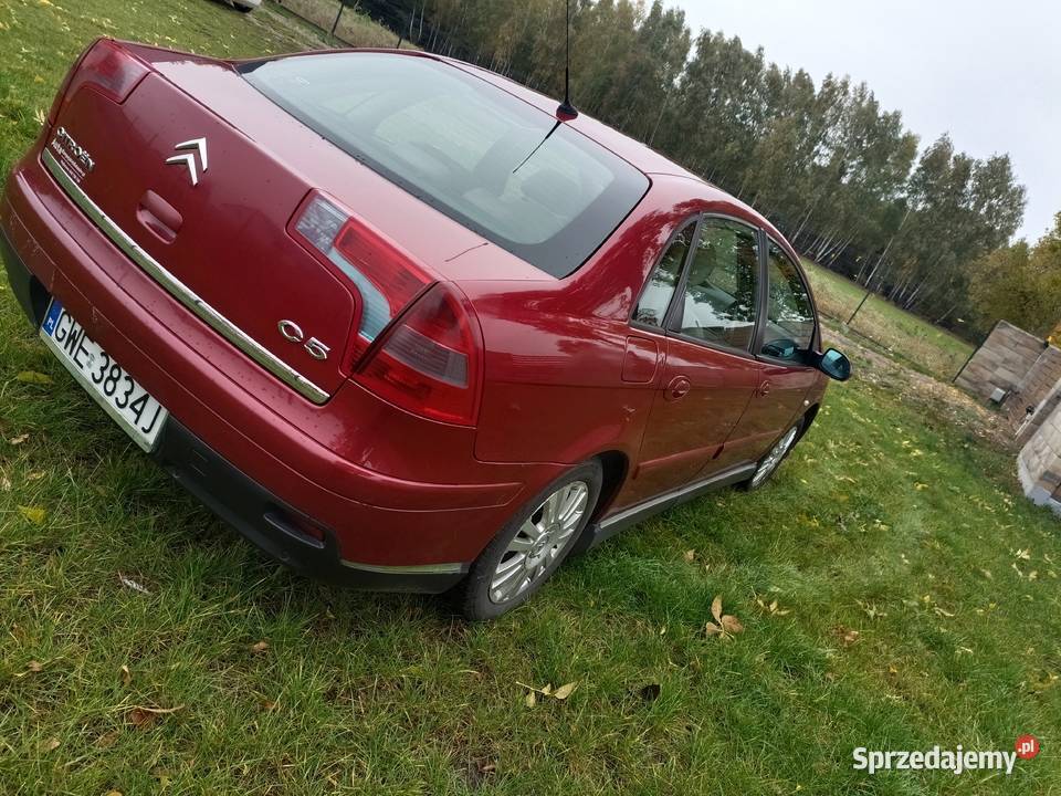 Citroen C5 światła do jazdy dziennej