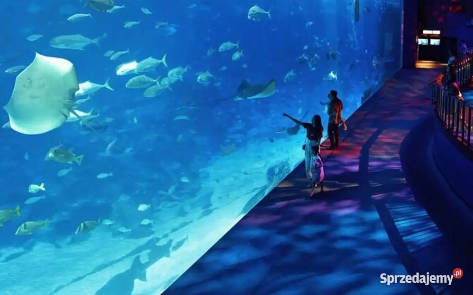 SINGAPUR BALI ABU DHABI DUBAI Pozostałe Nowy Sącz