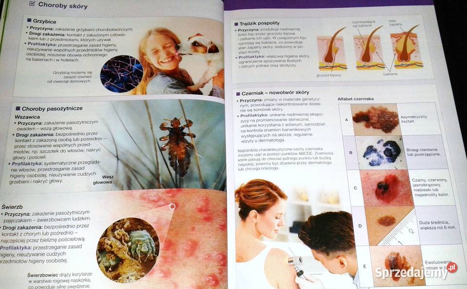 Biologia na czasie 1 Podręcznik LO i tech Anna Rok wydania 2020 Chełm