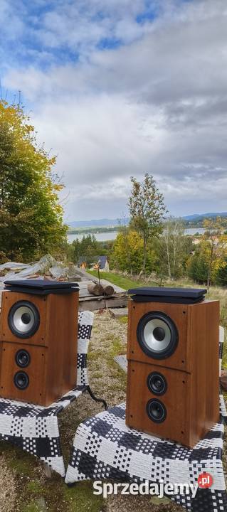 Dynaudio MSP 200 kolumny muzyczne sprzedam