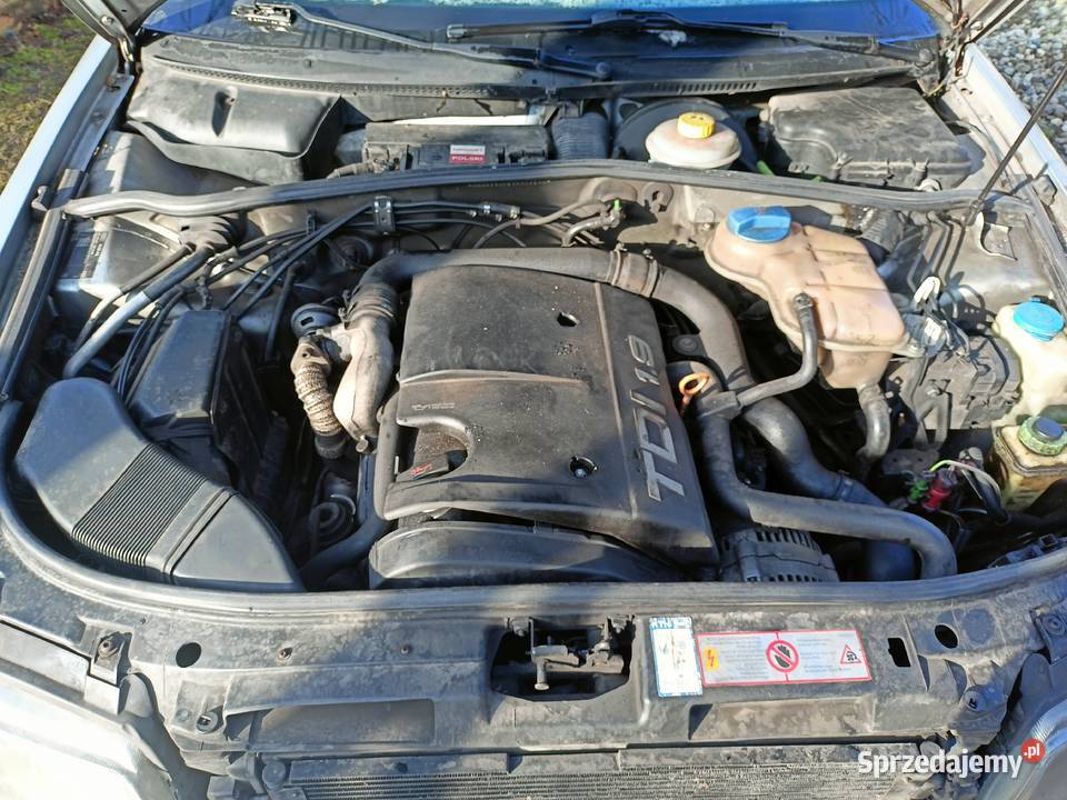 Audi A4 B5 na części a13 LY7M 19 110 AFN Myszków