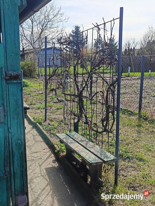 Działka RODO Ostrowiec świętokrzyski oś Pułanki świętokrzyskie