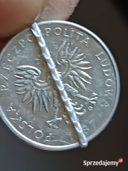 Sprzedam monetę 50 groszy 1987 mała skrętka Chełm sprzedam