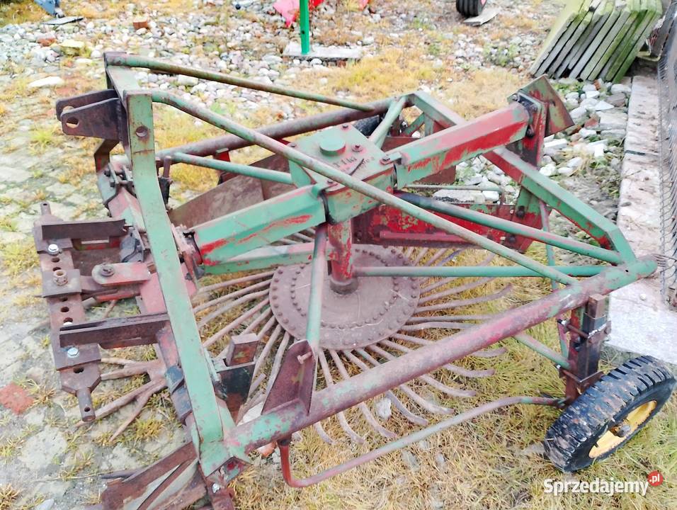 wyorywacz do warzyw i buraków TIM Szynwałd