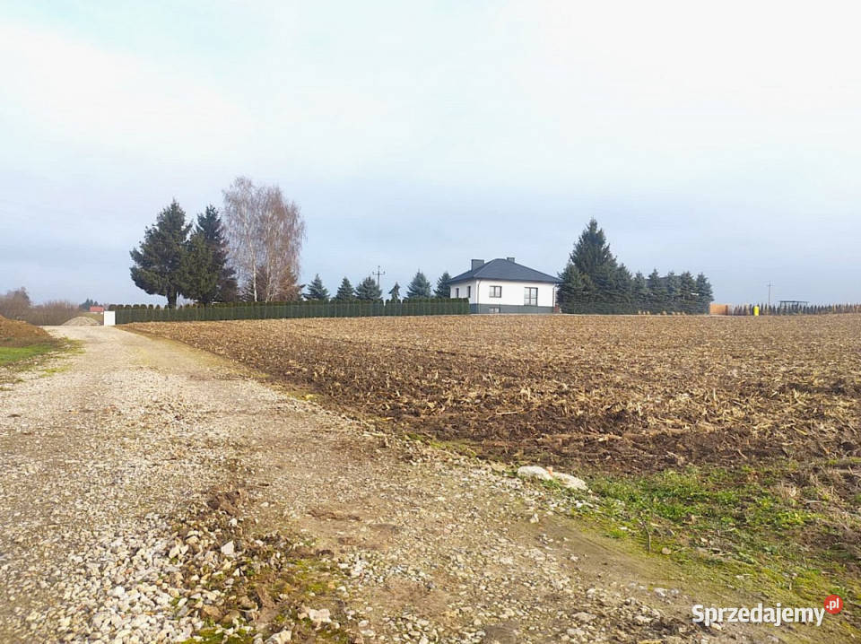 Działka 5000 metrów Miłocin 35m lubelskie