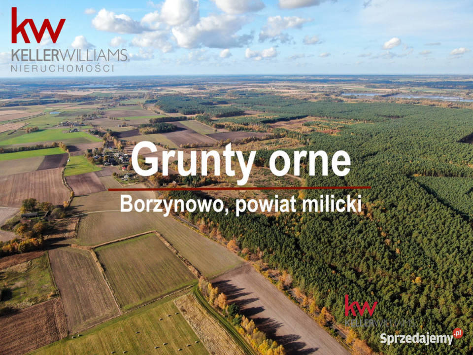 Działka 64170m2 Borzynowo