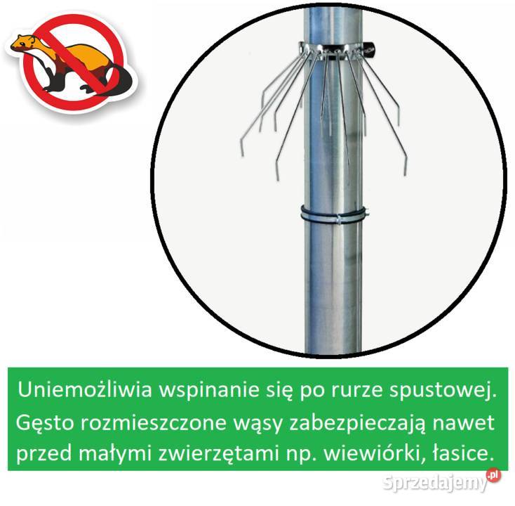Obejma na rurę spustową kolce zabezpieczające Bydgoszcz sprzedam