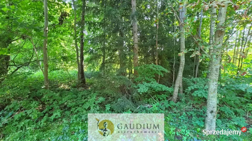 Działka budowlana 1182 m2 z WZ Warmia Lubnowo szambo
