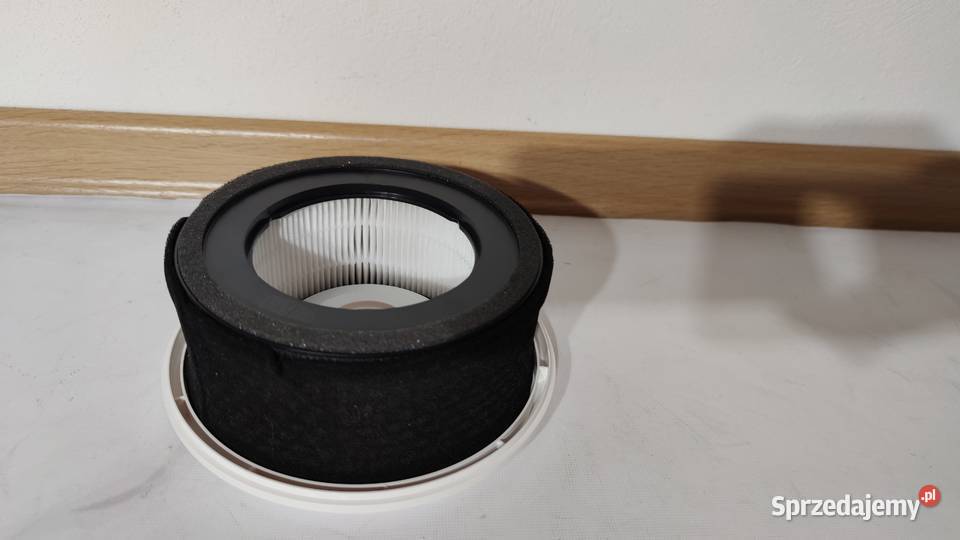 Oczyszczacz Leitz Trusens Z1000 Jadowniki