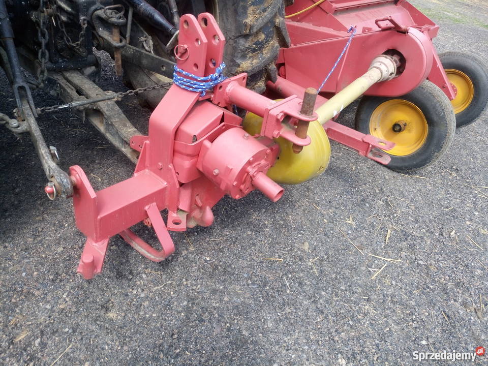 Taarup kvernelan scinacz zielonek orkan Radomice