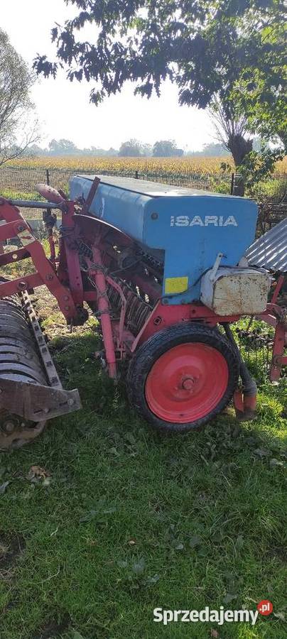 Isaria siewnik zbożowy Szczucin