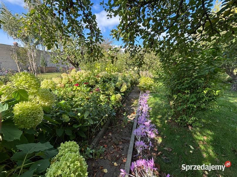 Dom z ogrodem 1 469 m w centrum Ostrowi Ostrów Mazowiecka sprzedam