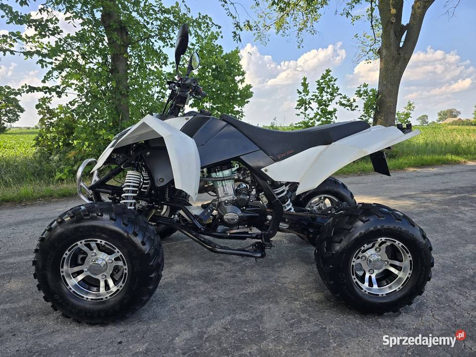 Quad Shineray Egl Bashan 250cc Ciecz Duża rama czterosuwowy kujawsko-pomorskie Kruszwica