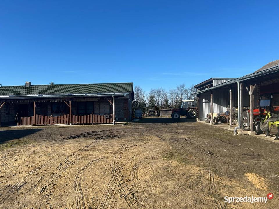 Działka 31 arów dom mieszkalny 120 m2 plus Miedniki