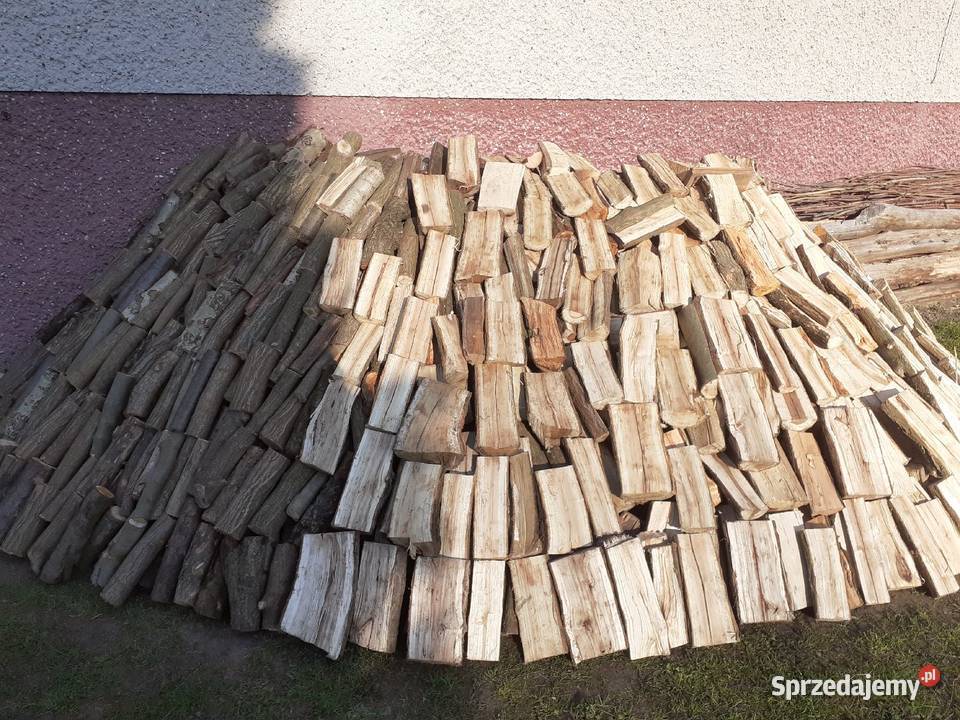drewno drzewo na opał do kominka Kamienica Polska