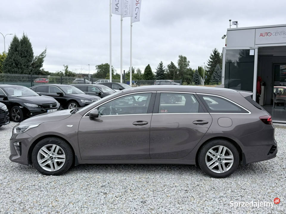 Kia Ceed 10 12V TGDI 120 2020 Salon kamera Kia Wrocław