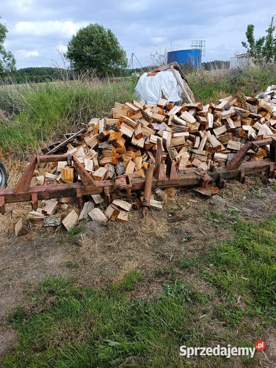 Belka U 902 Pozostałe Braniewo