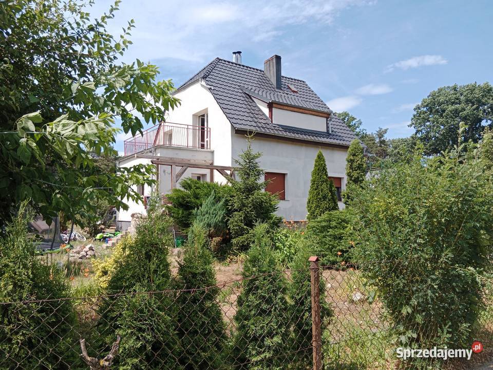 Mieszkanie bezczynszowe 54 m2 z dużą działką Międzyrzecz
