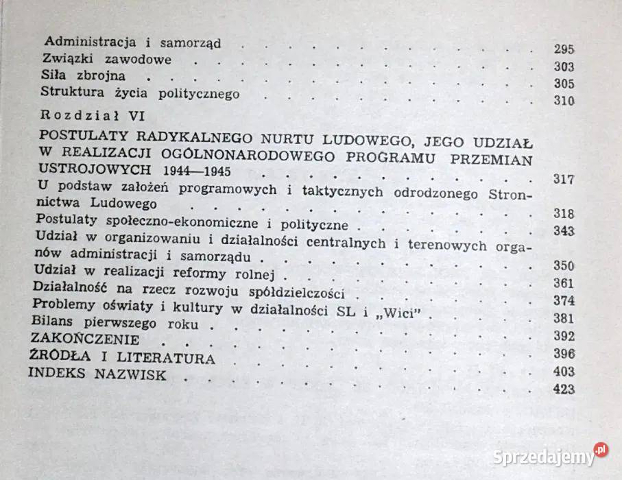 Koncepcje przebudowy Polski Stanisław Dąbrowski twarda z obwolutą