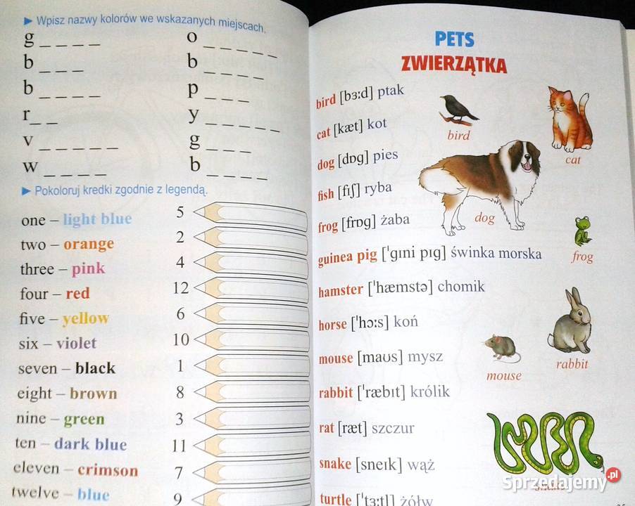 Angielski najmłodszych Nauczanie początkowe Rok wydania 2007 Chełm