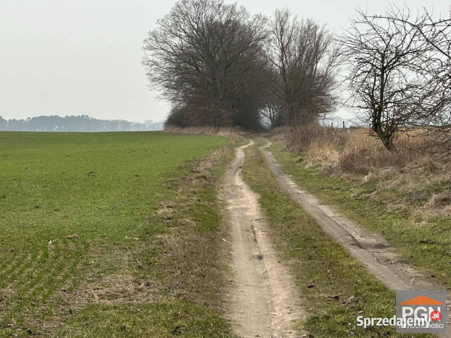 Ogłoszenie działka 27234m2 Chrząszczewo Sprzedaż Sprzedaż sprzedam