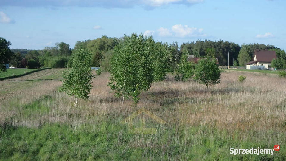 Działka w Gadce gmina Kołbiel