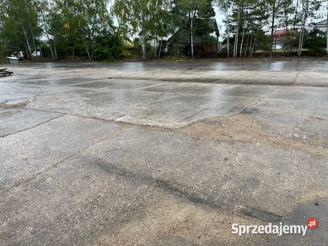 Wynajmę plac utwardzony 2500m2