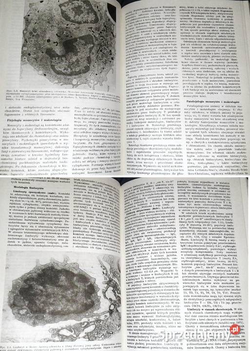 Nauka o chorobach wewnętrznych Tom 7 Witold Rok wydania 1990 Chełm