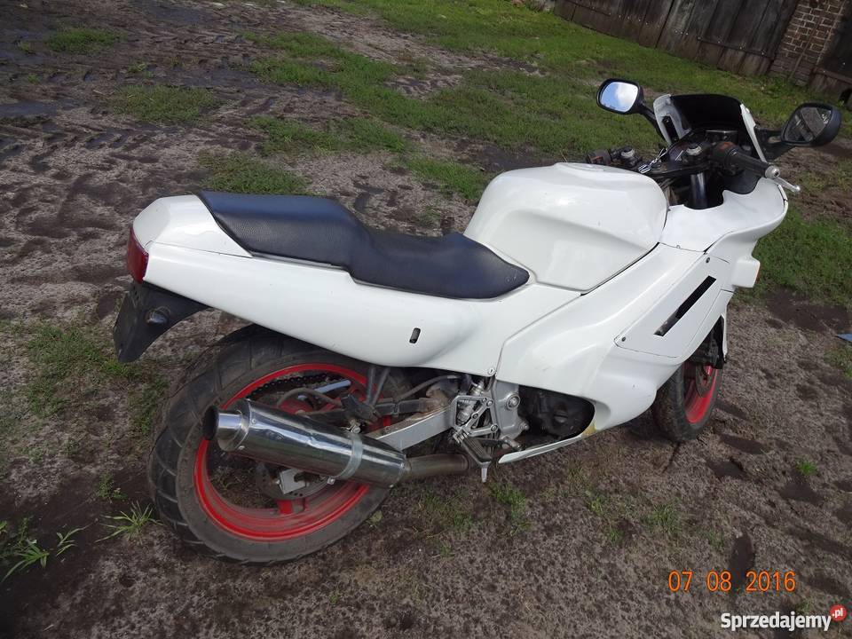 HONDA CBR lubuskie Jeniniec