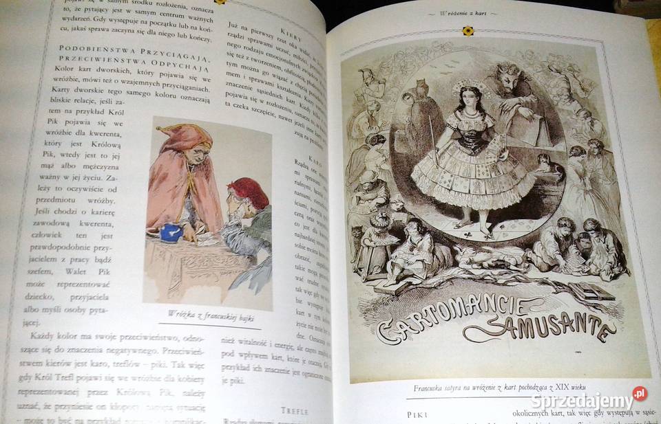 poznać przeznaczenie Jane Struthers twarda Chełm