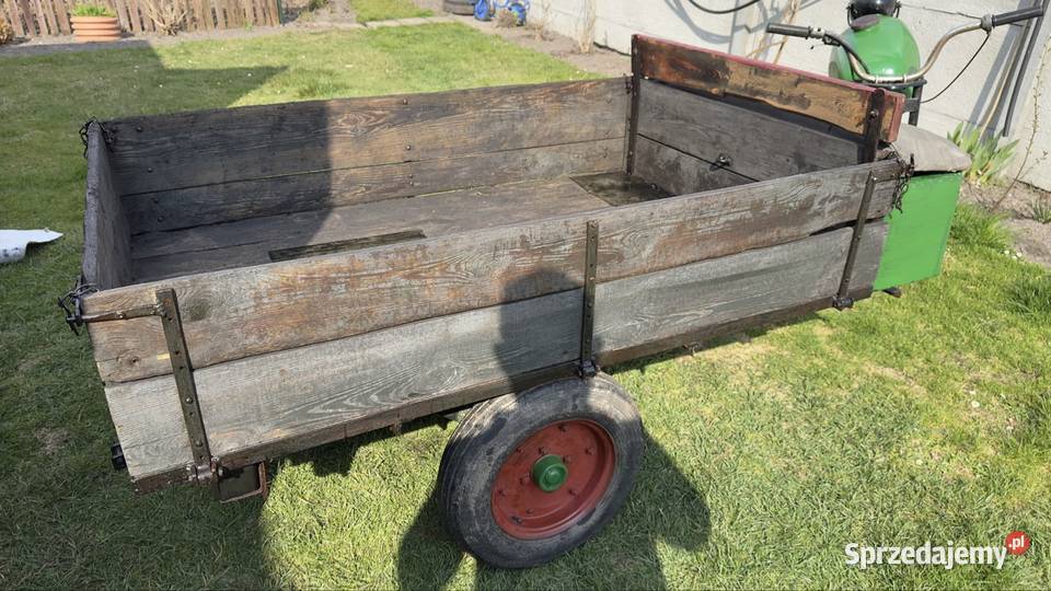 Trajka dzik wsk pozostałe WSK wielkopolskie Parczew