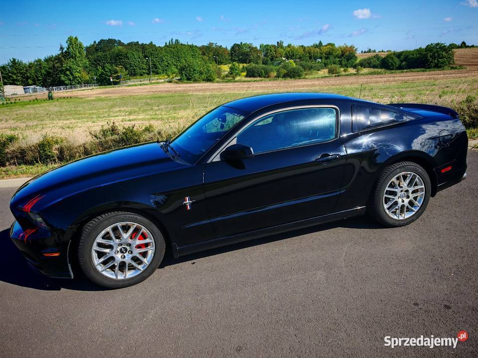 Ford Mustang 37 V6 premium Pony Package 253000km zachodniopomorskie Myślibórz
