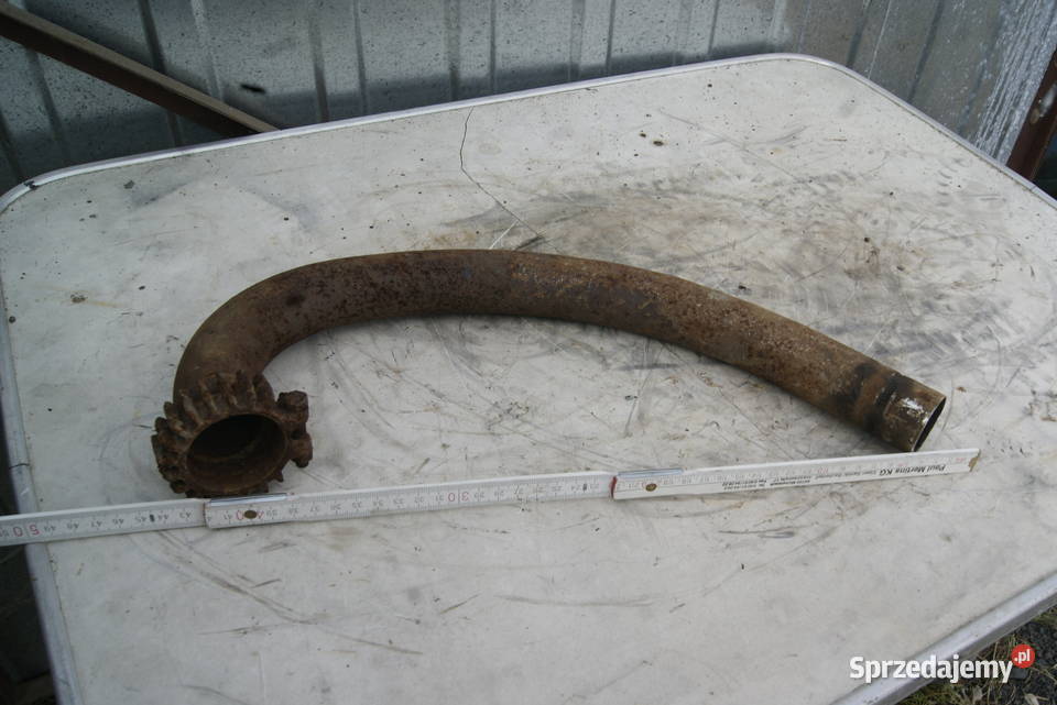 KOLANKO TRIUMPH VICTORIA ARDI ADLER Rybnik