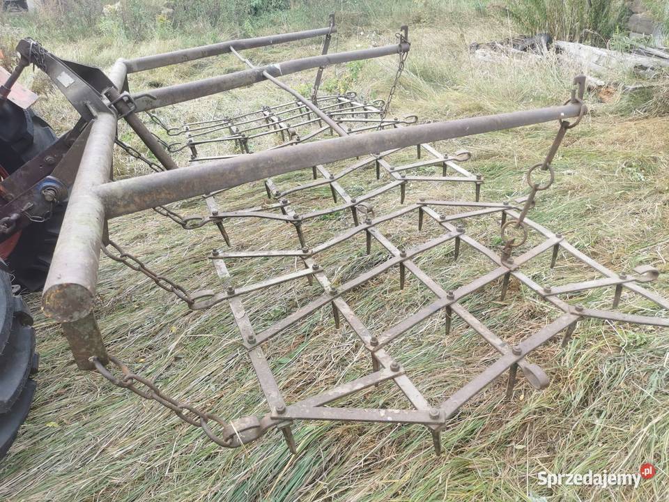 Brony nieuszkodzony Zaleszany