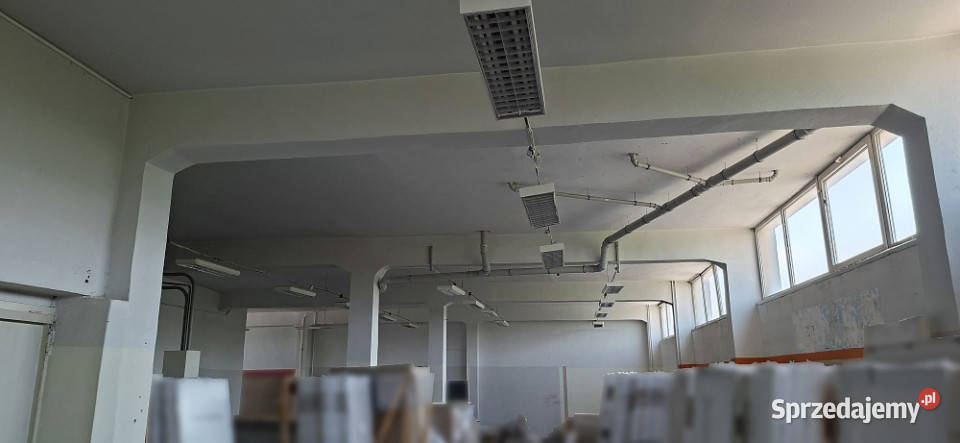 Lokal magazynowyusługowy Zagnańska 71 winda 368m2 Kielce