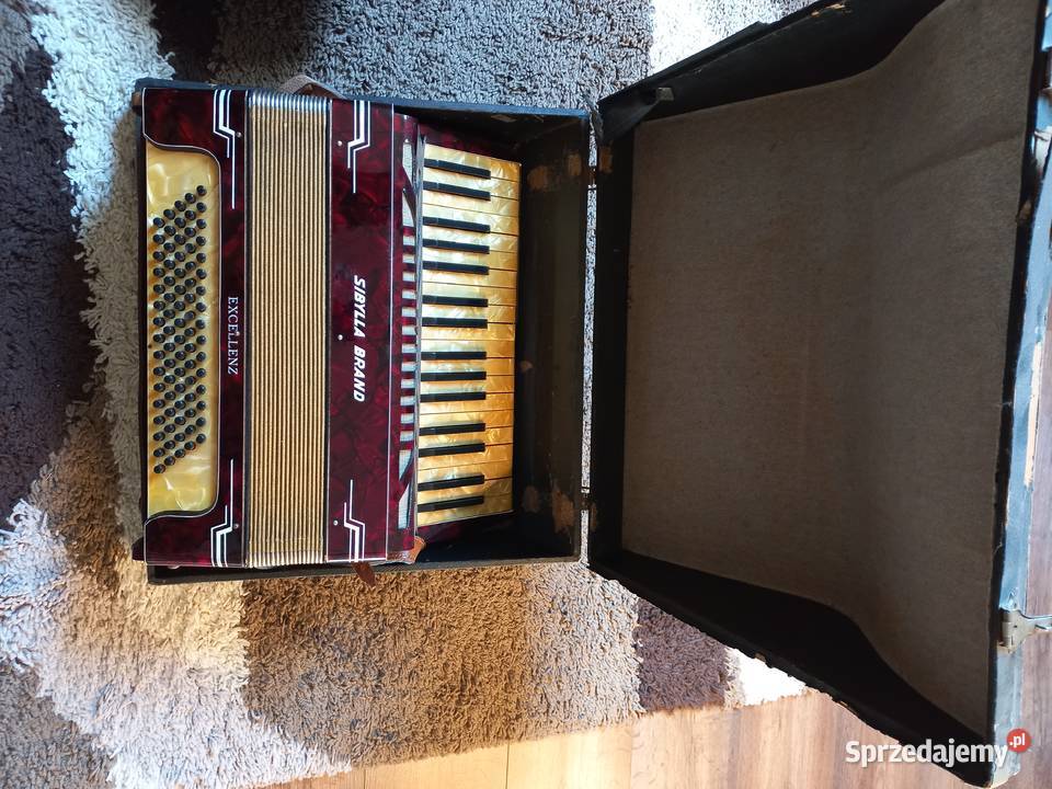 akordeon sibylla brand dolnośląskie Goliszów