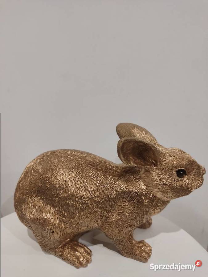 KRÓLIK ZŁOTY