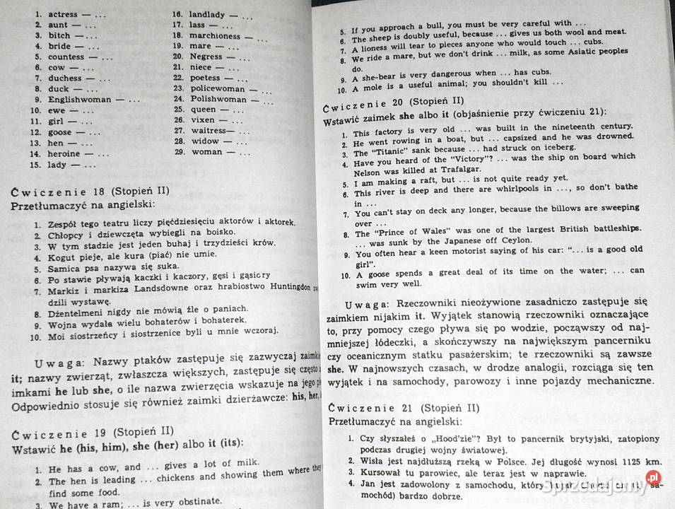 Nowa gramatyka angielska w ćwiczeniach Antoni Chełm