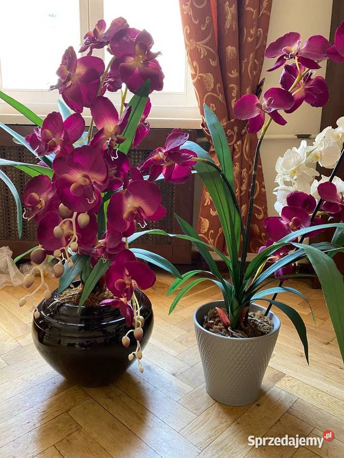 Sprzedaż wyprzedaż kolekcji i dekoracji Warszawa sprzedam