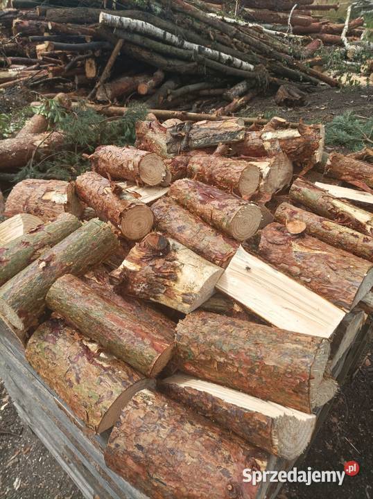 Sprzedam drewno kominkowe Częstochowa