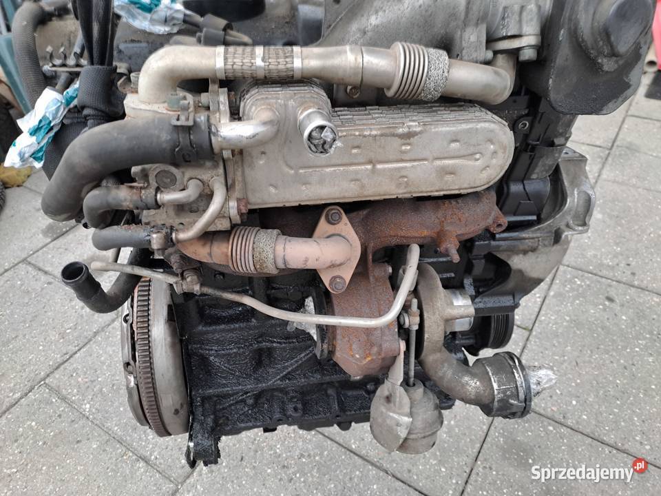 Volkswagen Touran 19 TDi 101 silnik kompletny Rok produkcji 2006 Silniki kompletne Jastrzębie-Zdrój