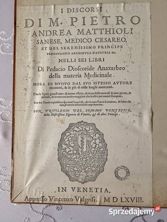 Antyczny Miedzioryt 1563 Rycina Botaniczna