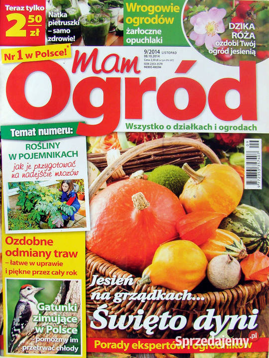 Mam Ogród Wszystko o działkach i ogrodach 92014 Limanowa