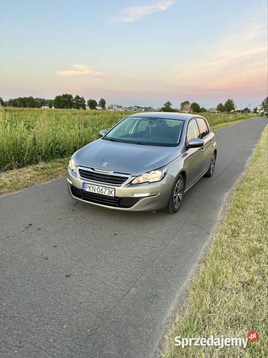 Peugeot 308 Budzisław Kościelny sprzedam