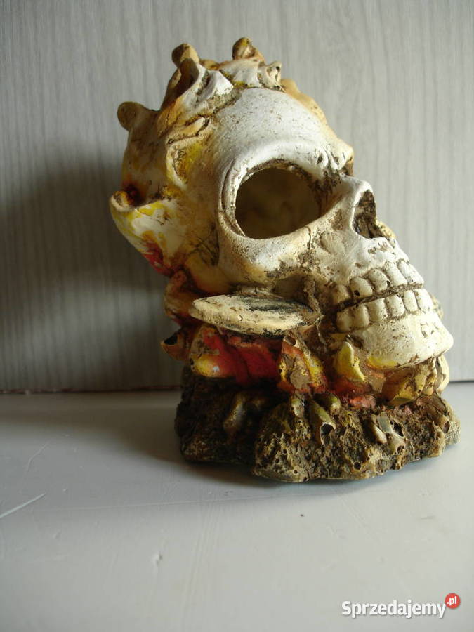 Ozdoba do akwarium nowa Zielona Góra