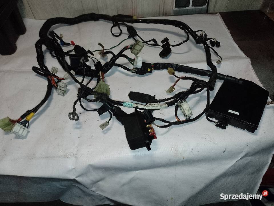 Triumph Trophy 900 wiązka elektryczna kompletna sprzedam